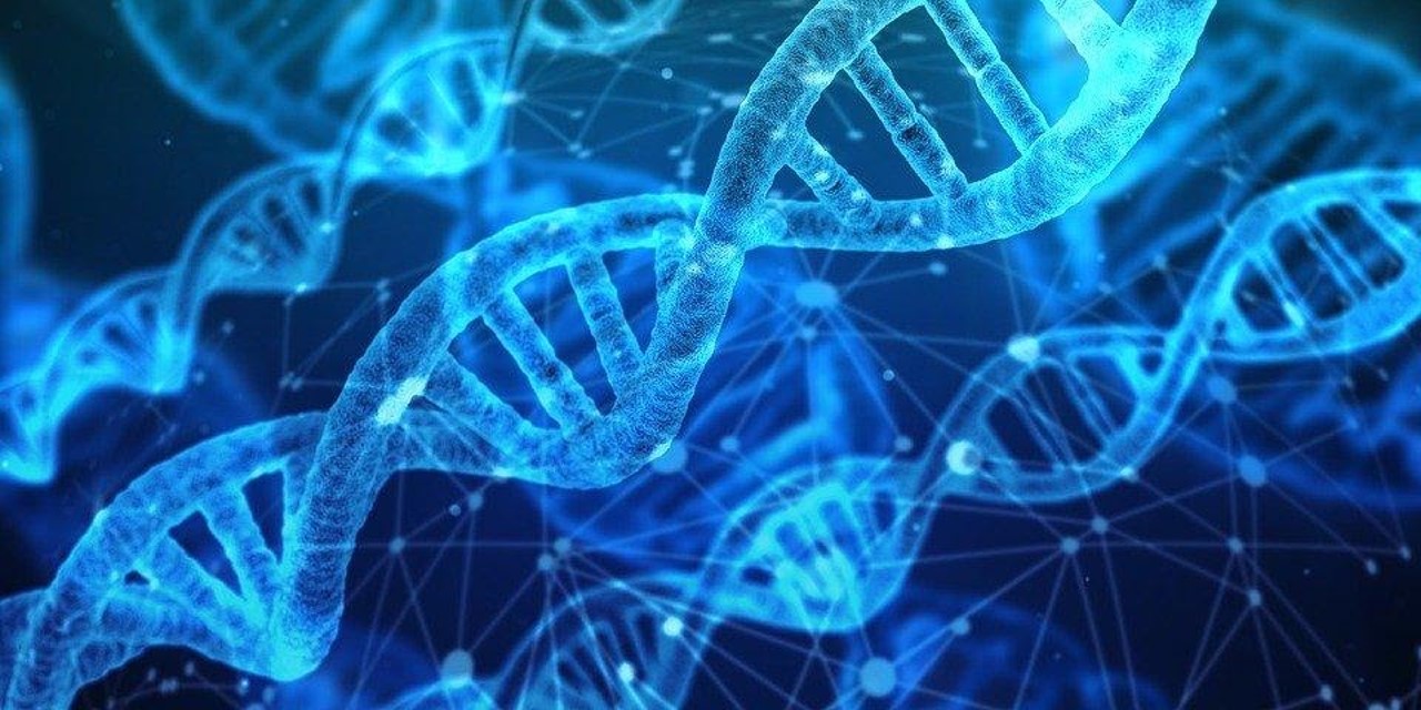 Forensic DNA Board Certification Preparation Course